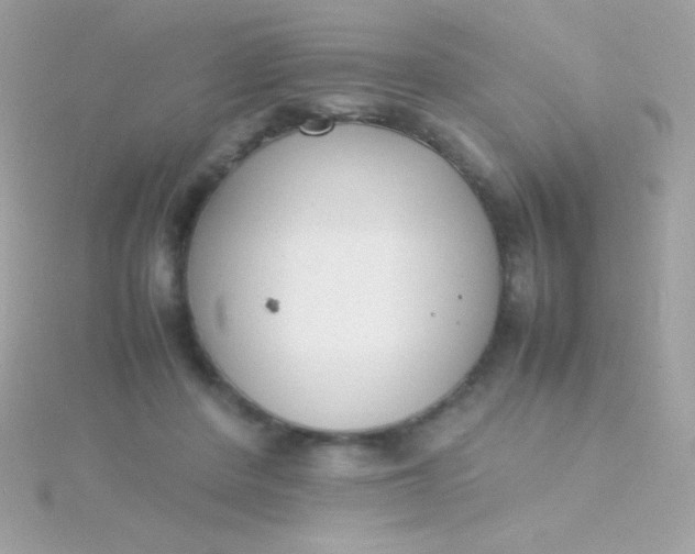 X0000115740408200911252004