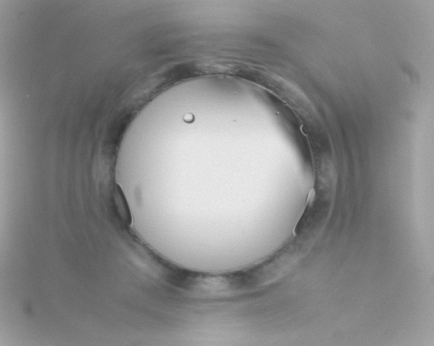 X0000115740409200911252004