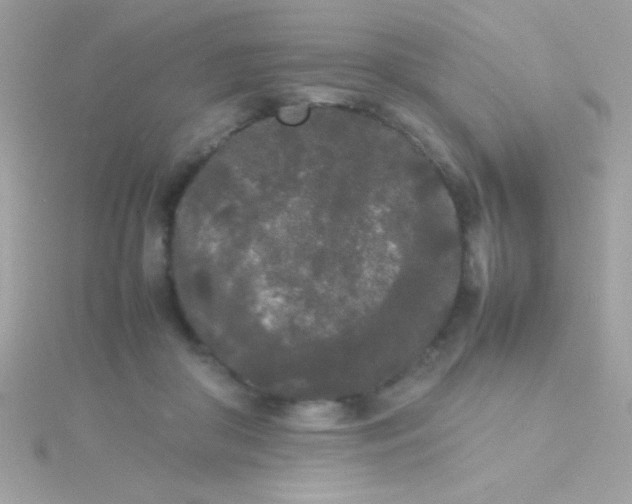 X0000115740410200911252004