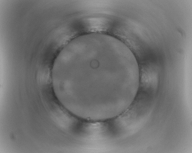 X0000115740411200911252004