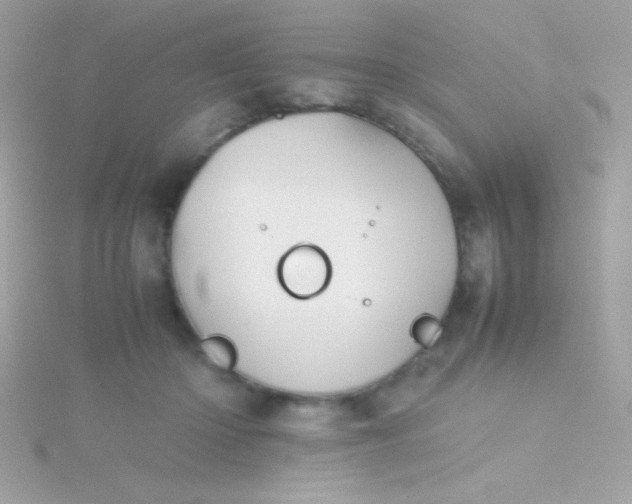 X0000115740414200911252004