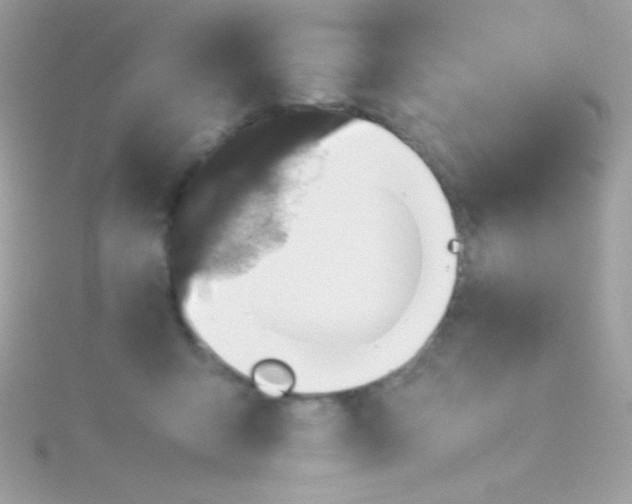 X0000115740415200911252004