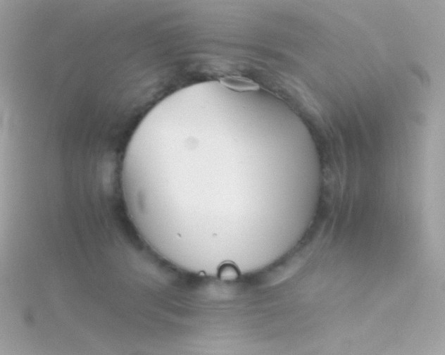 X0000115740416200911252004