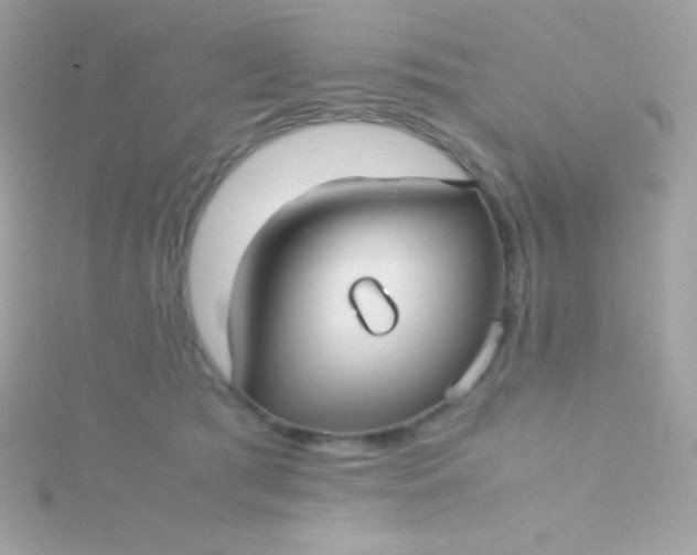 X0000115740417200911252004