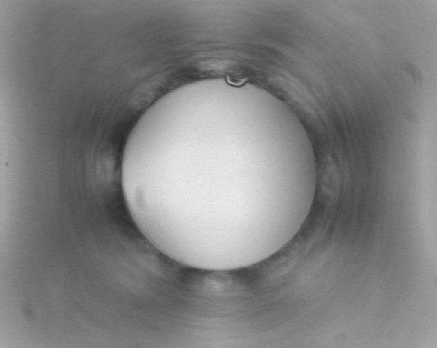 X0000115740420200911252004