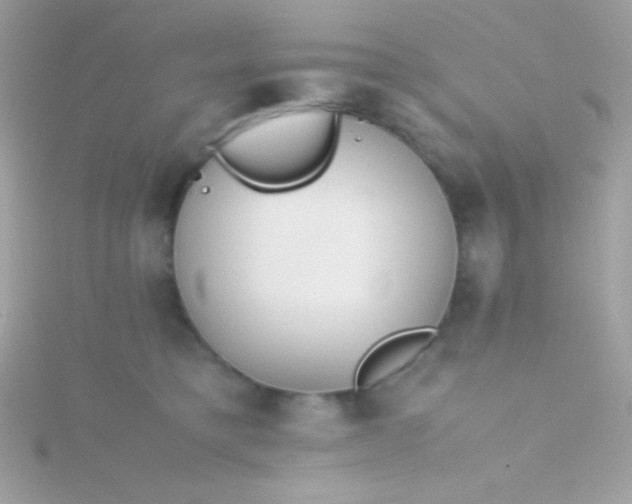 X0000115740421200911252004