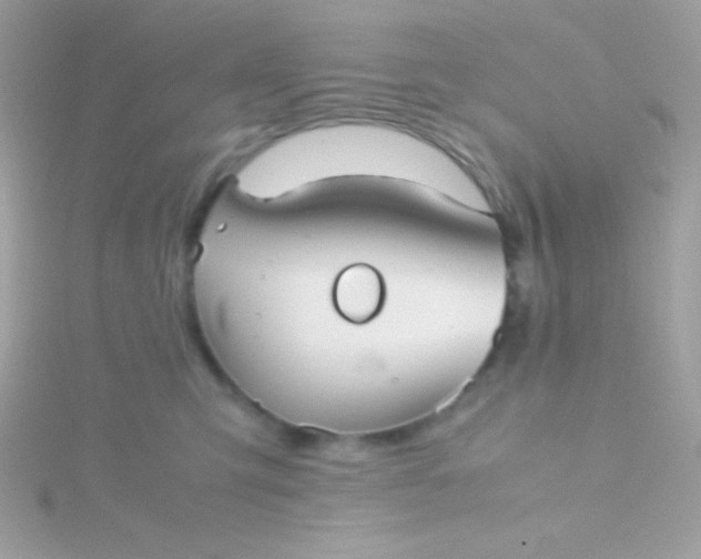 X0000115740423200911252004