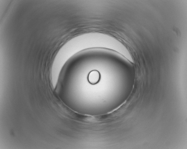 X0000115740425200911252004