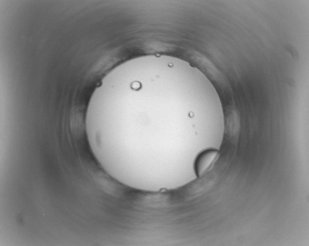 X0000115740426200911252004