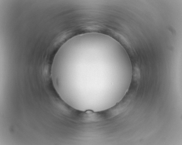 X0000115740428200911252004