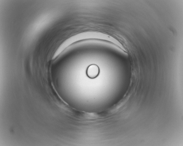 X0000115740429200911252004