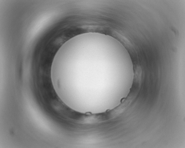 X0000115740430200911252004