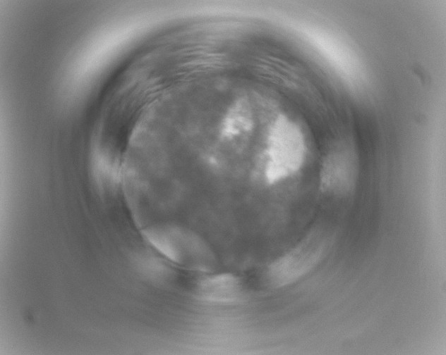 X0000115740431200911252004