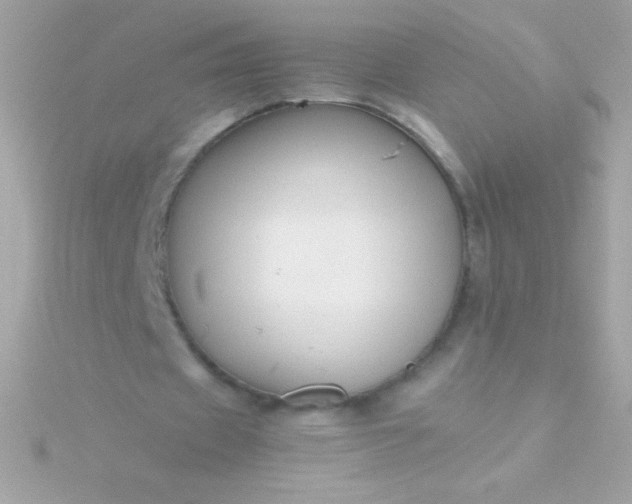 X0000115740433200911252003