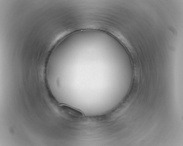 X0000115740434200911252003