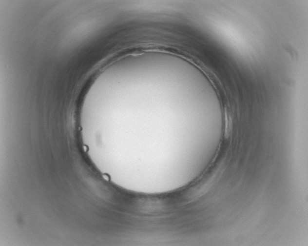 X0000115740435200911252003