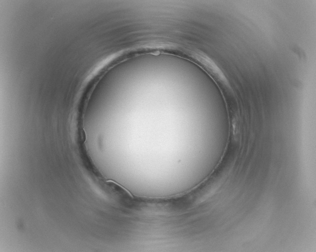 X0000115740436200911252003