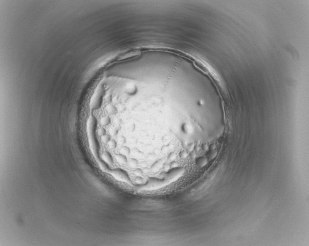 X0000115740437200911252003