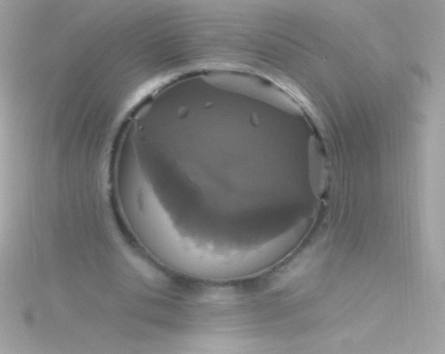 X0000115740438200911252003