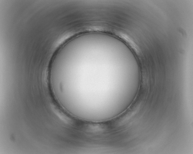 X0000115740439200911252003