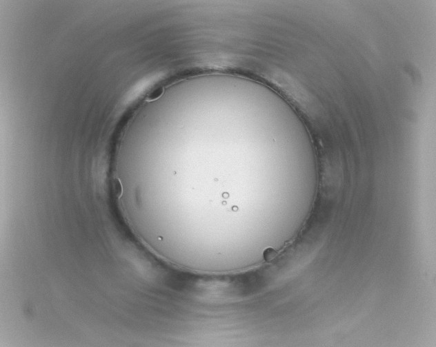 X0000115740440200911252003