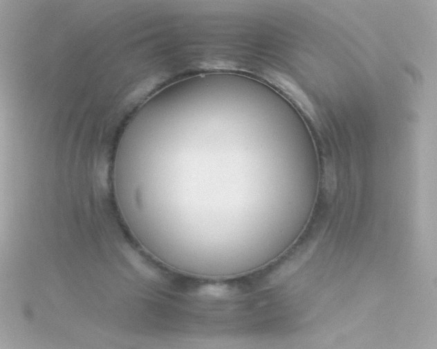 X0000115740441200911252003