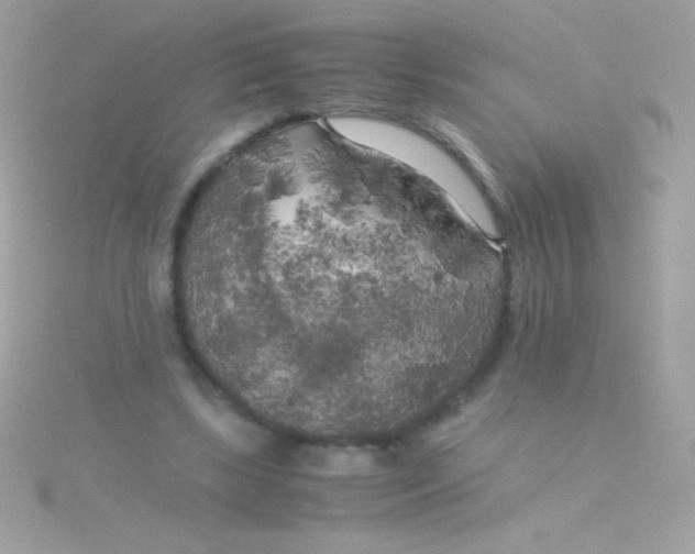 X0000115740443200911252003