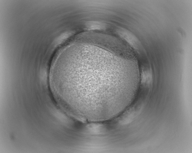 X0000115740444200911252003