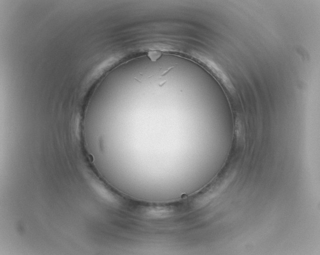 X0000115740445200911252003