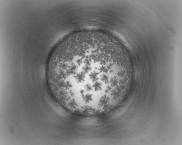 X0000115740447200911252003