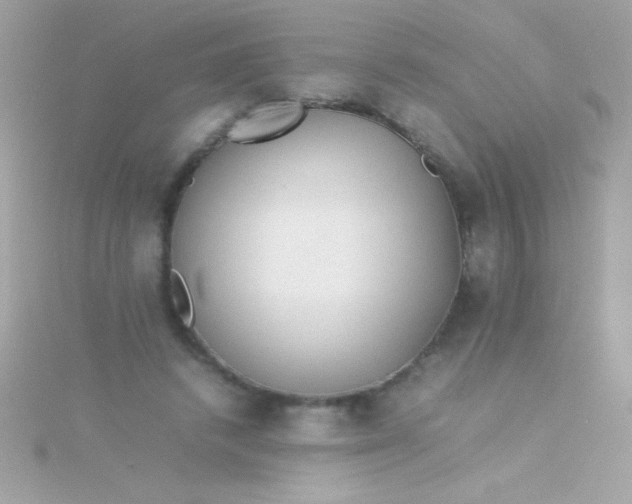 X0000115740448200911252003