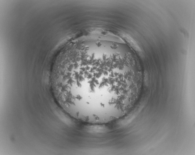 X0000115740449200911252003