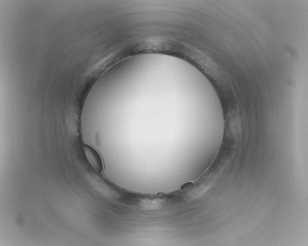 X0000115740450200911252003