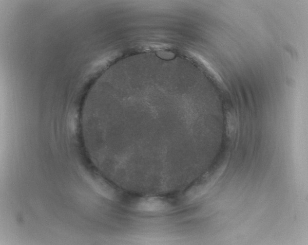 X0000115740451200911252003