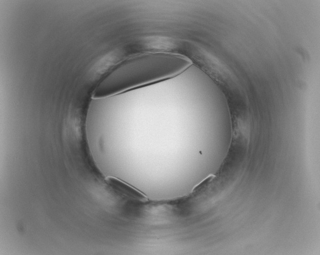 X0000115740452200911252003