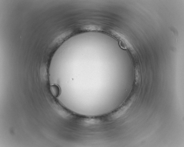 X0000115740453200911252003