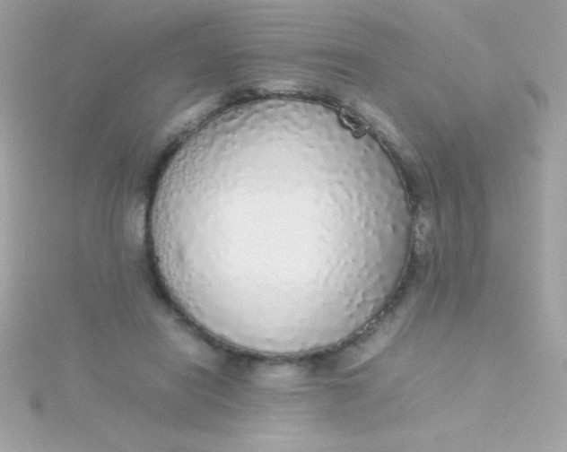 X0000115740454200911252003