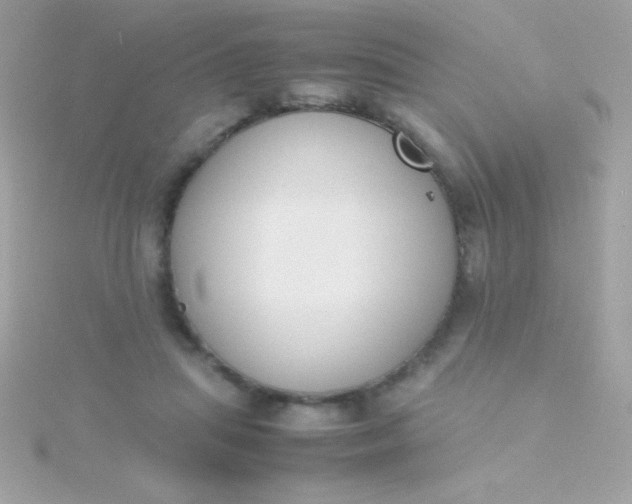 X0000115740455200911252003