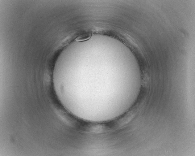 X0000115740456200911252003