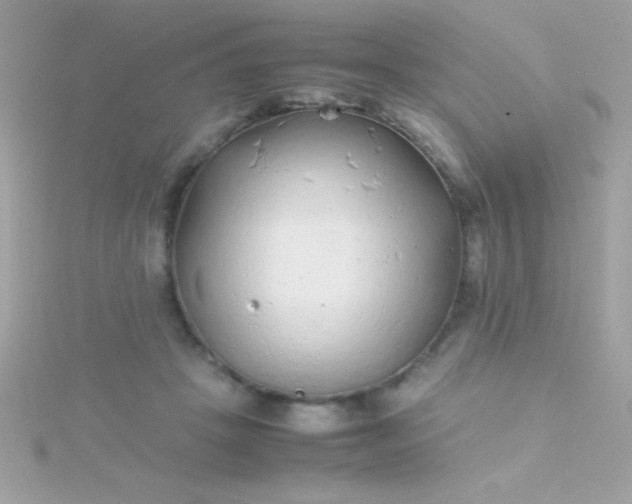 X0000115740457200911252003