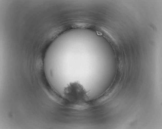 X0000115740459200911252003