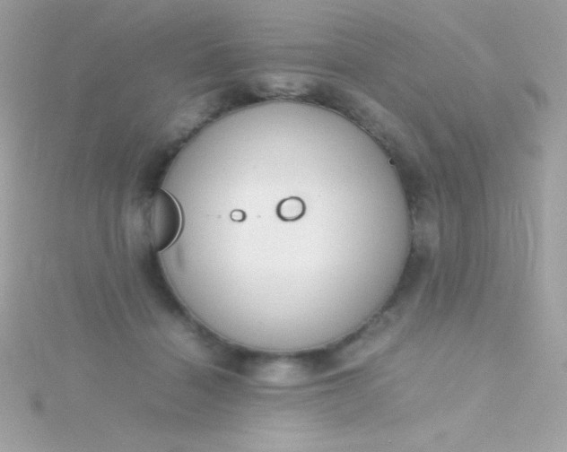 X0000115740460200911252003