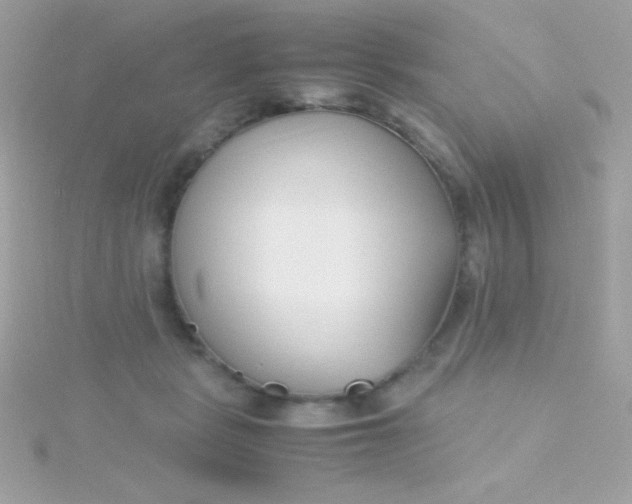 X0000115740461200911252003