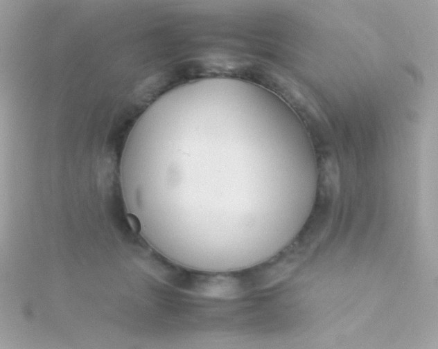 X0000115740463200911252003