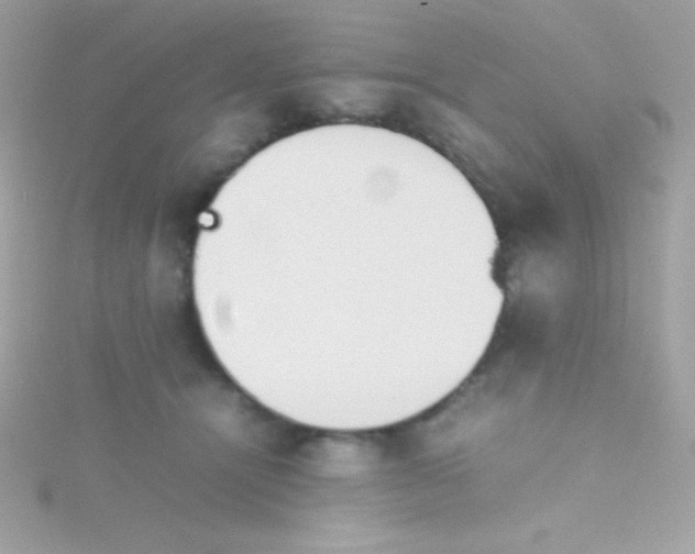 X0000115740464200911252003