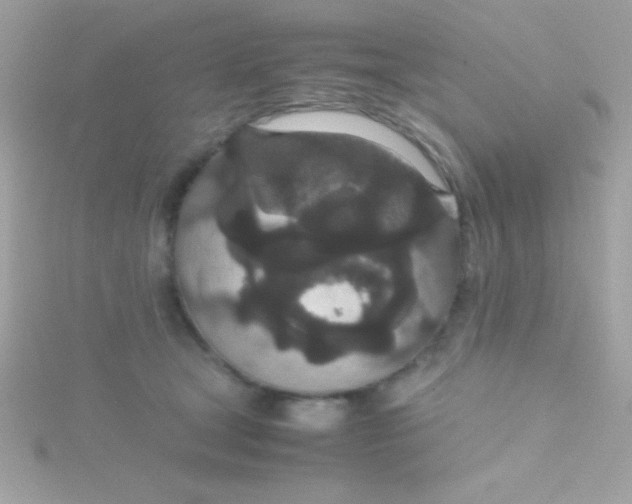 X0000115740465200911252003