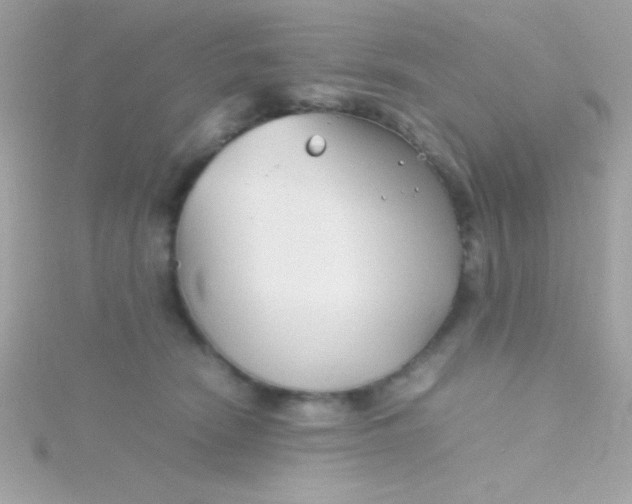 X0000115740466200911252003