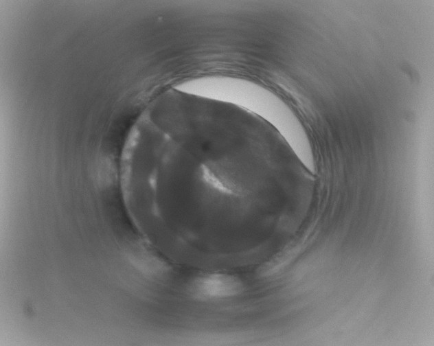 X0000115740467200911252003