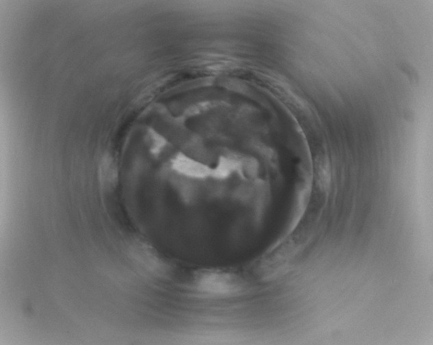 X0000115740471200911252003