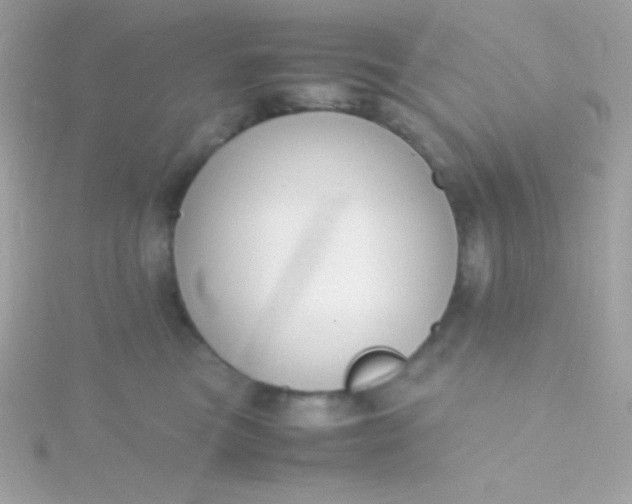 X0000115740473200911252003